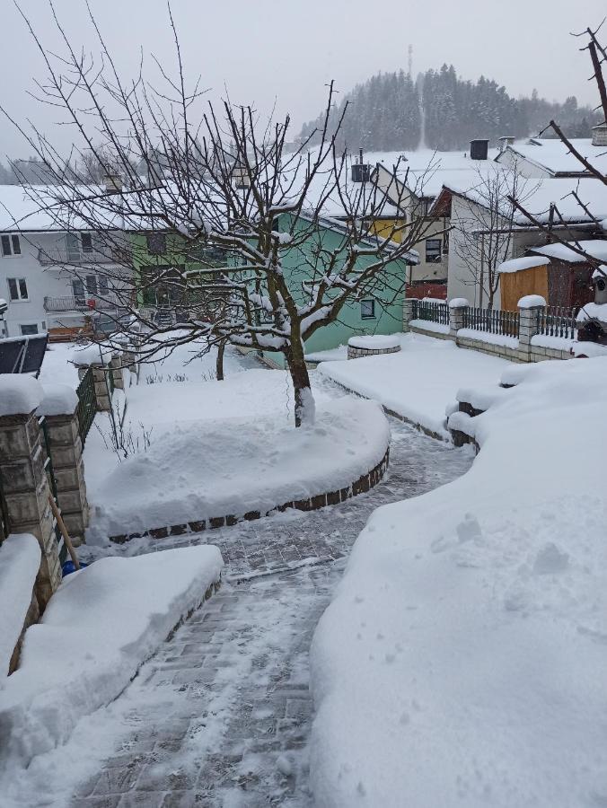 Ubytovanie V Sukromi Zeleny Dom Vyšné Ružbachy Exteriör bild